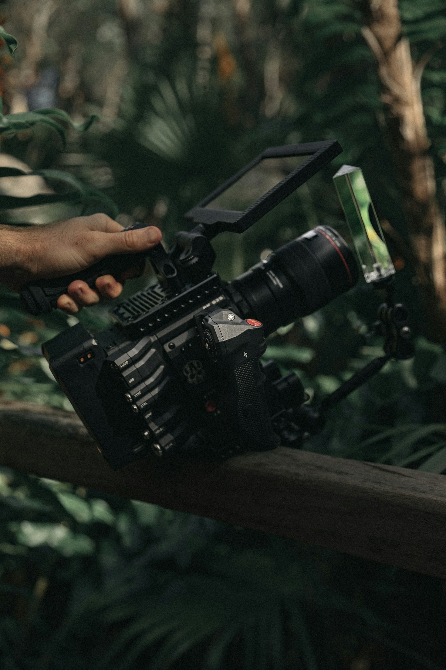 Hidden Gems You Missed This Past Month